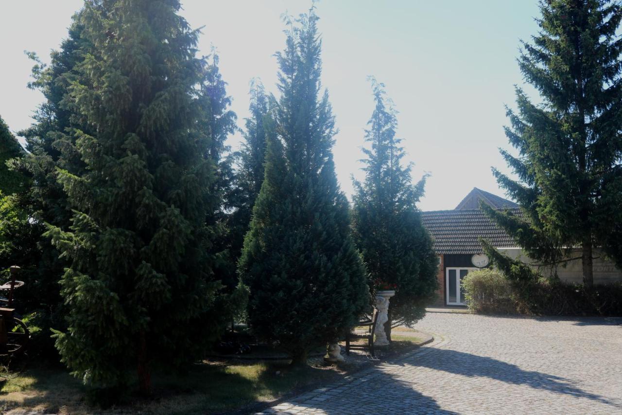 Spreewaldhotel Garni Raddusch Vetschau Zewnętrze zdjęcie